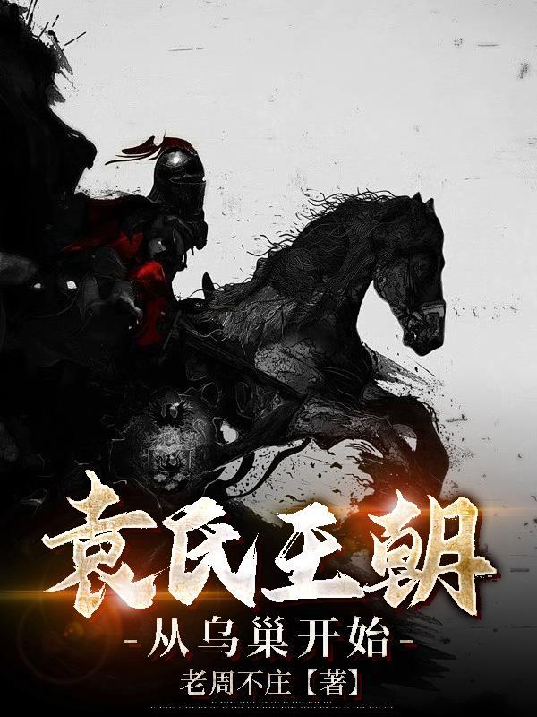 袁氏王朝:从乌巢开始